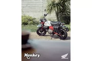 Z125 Monkey (photo 2)